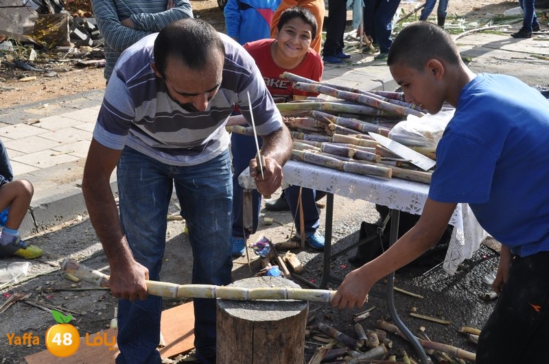 e3eed lud moner (43).JPG